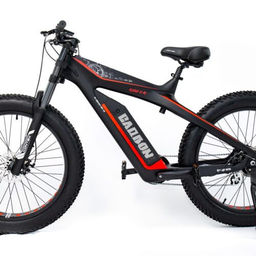 Carbon Frame Electric Bicycle