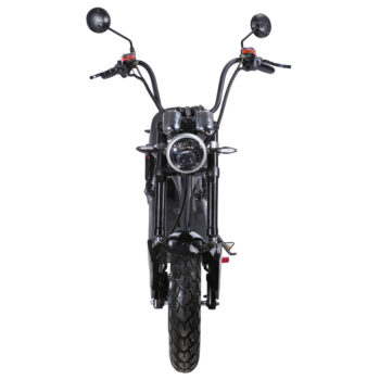 Citycoco Electric Harley Style Moped
