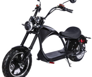 Harley Style Electric Moped