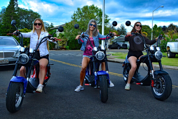 Harley Style Electric Moped - Image 3