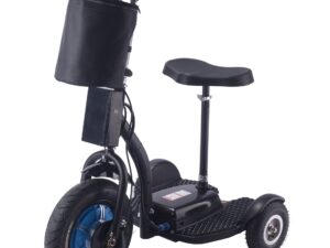 MotoTec Electric Trike 48v 750w Lithium