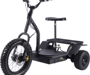 MotoTec Electric Trike 48v 1200w