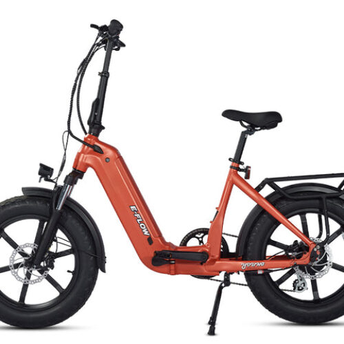 Young Electric E-Flow Folding Bicycle