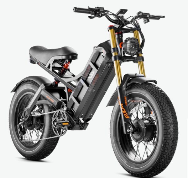 Eahora Romeo II Electric Bicycle - Image 3