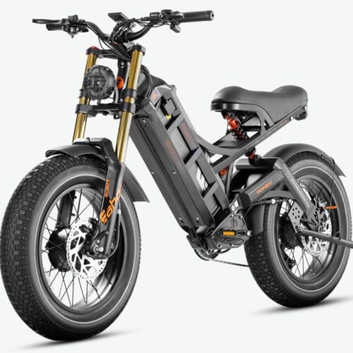 Eahora Romeo II Electric Bicycle