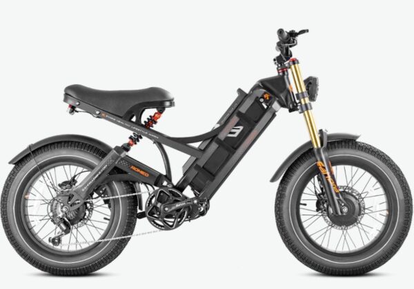 Eahora Romeo II Electric Bicycle - Image 2