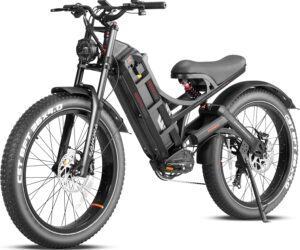 Eahora Romeo Pro Electric Bicycle – BLACK