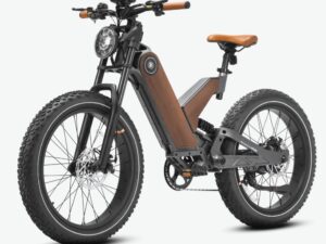 Eahora P5 II Electric Bicycle