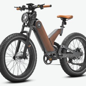 Eahora P5 II Electric Bicycle