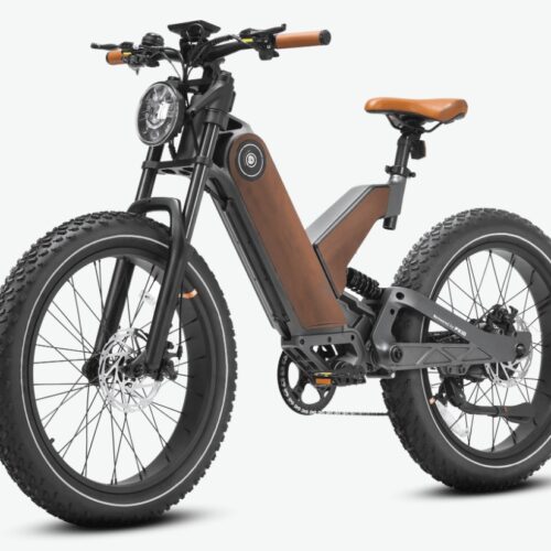 Eahora P5 Plus Electric Bicycle