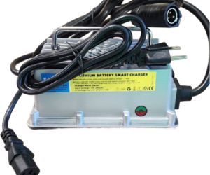 Surron Light Bee & Ultra Bee 110V Charger