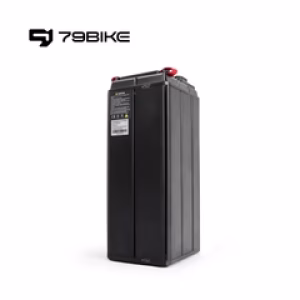 Protected: Battery with Charger