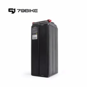Protected: Battery with Charger
